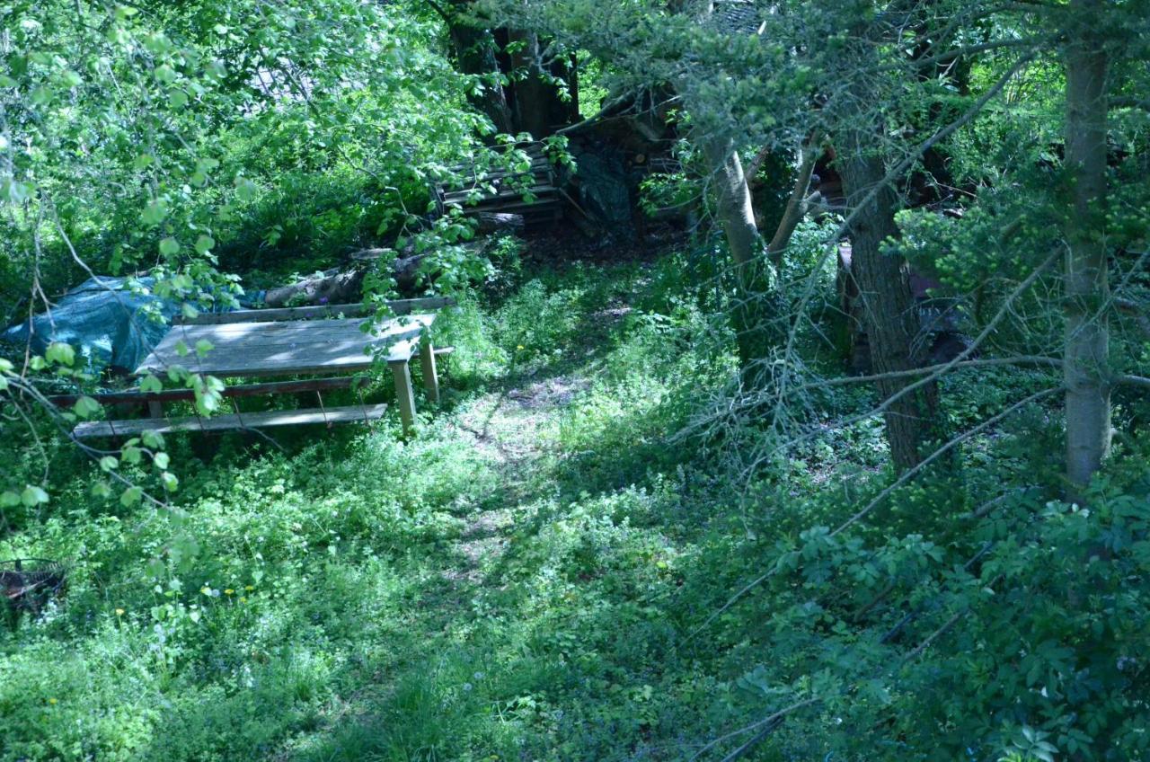 La Cave Au Chat'Pitre / L'Etable Villers-le-Bouillet Kültér fotó